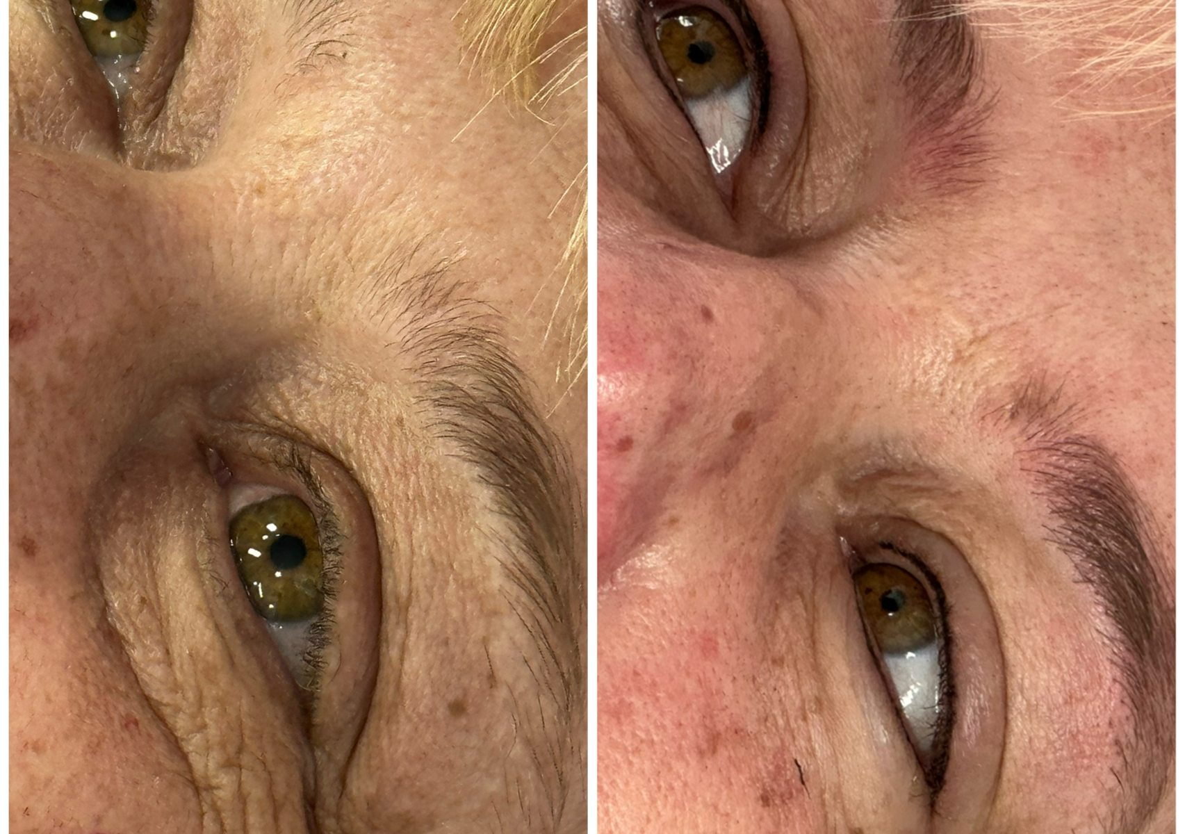 Eyeliner PMU (Top / bottom)