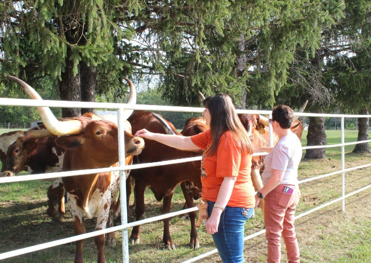 Farm Visit (4/4)