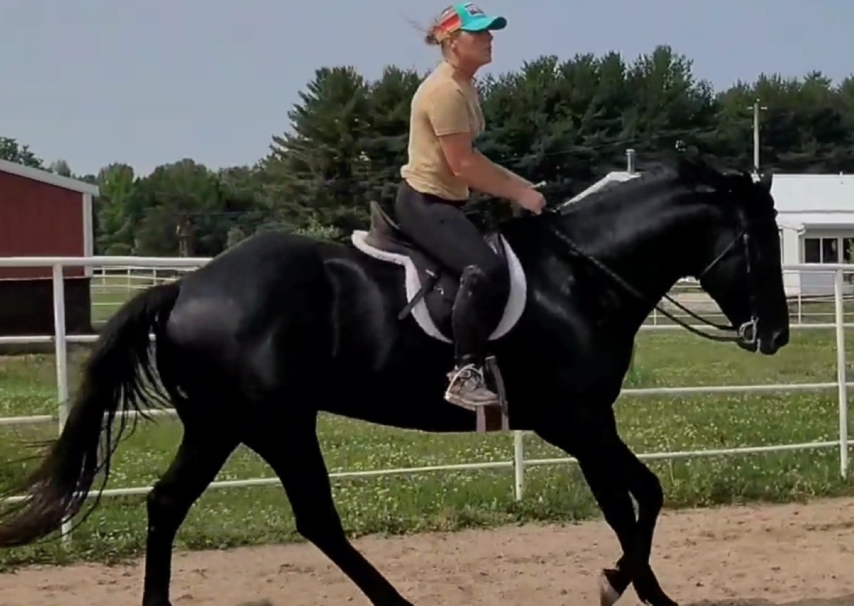 1hr Lesson (under English Tack)