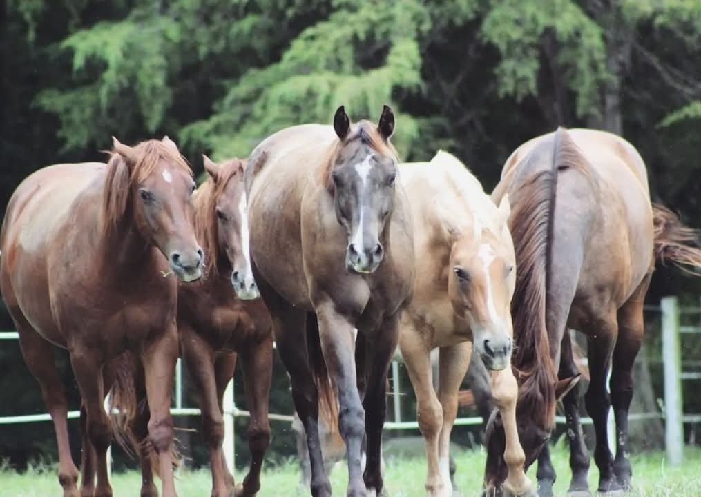 Team Building Workshop 