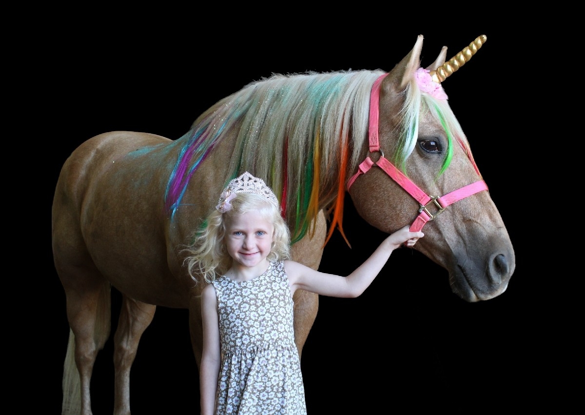 Unicorn Visit/Photo Shoot