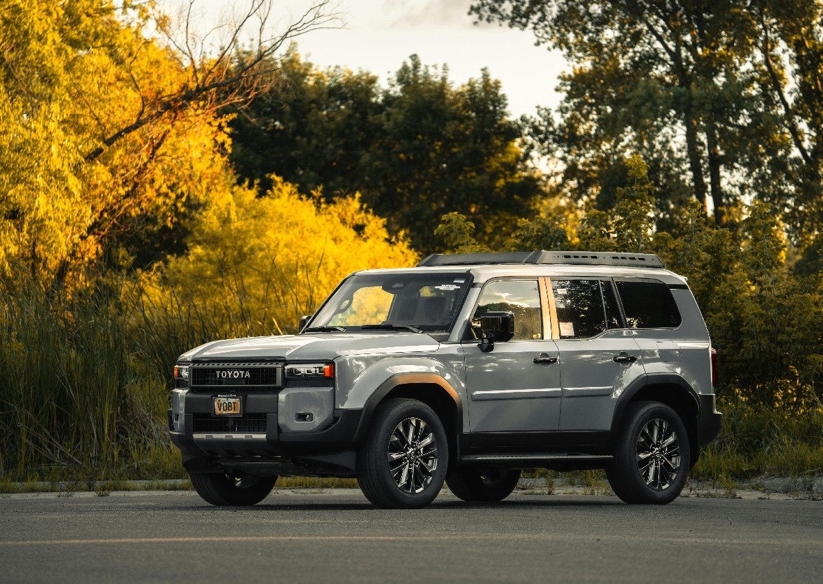 Luxe Refresh  (Large/Truck)
