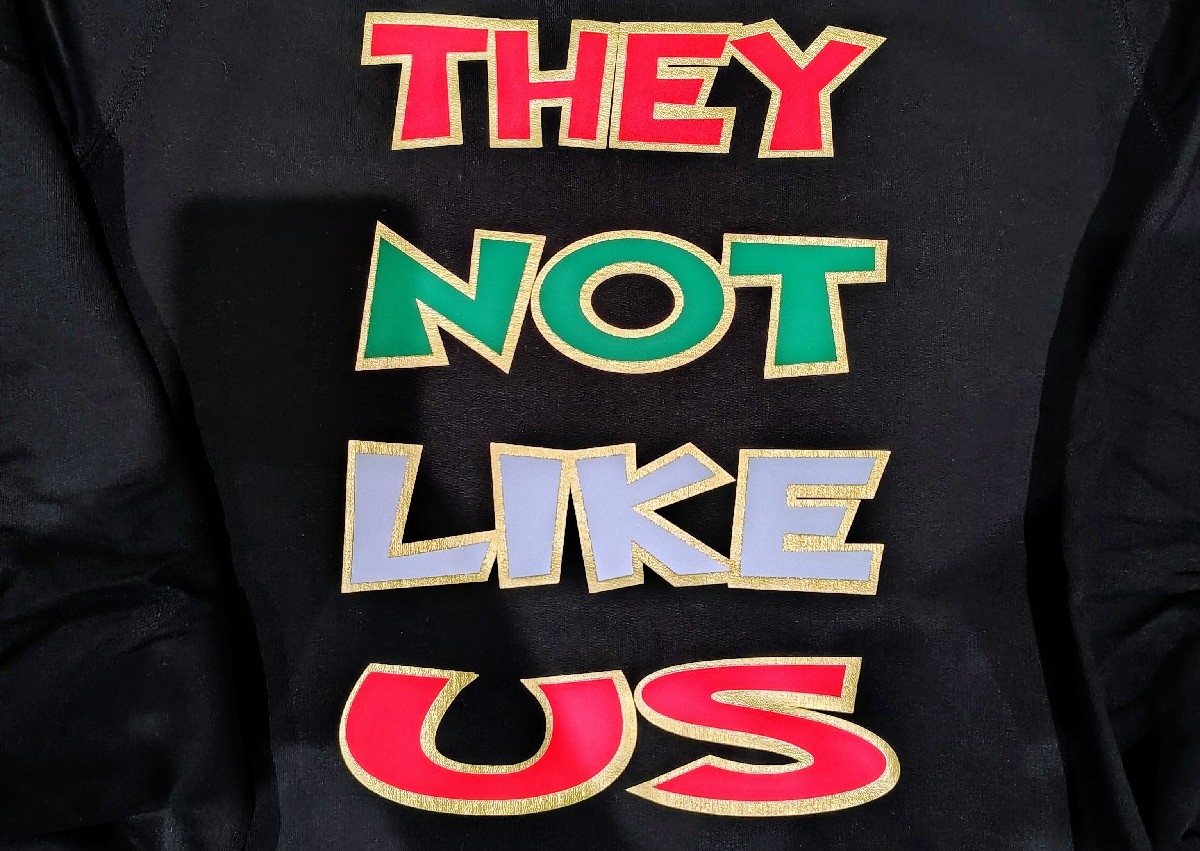 They Not Like Us Hoodie