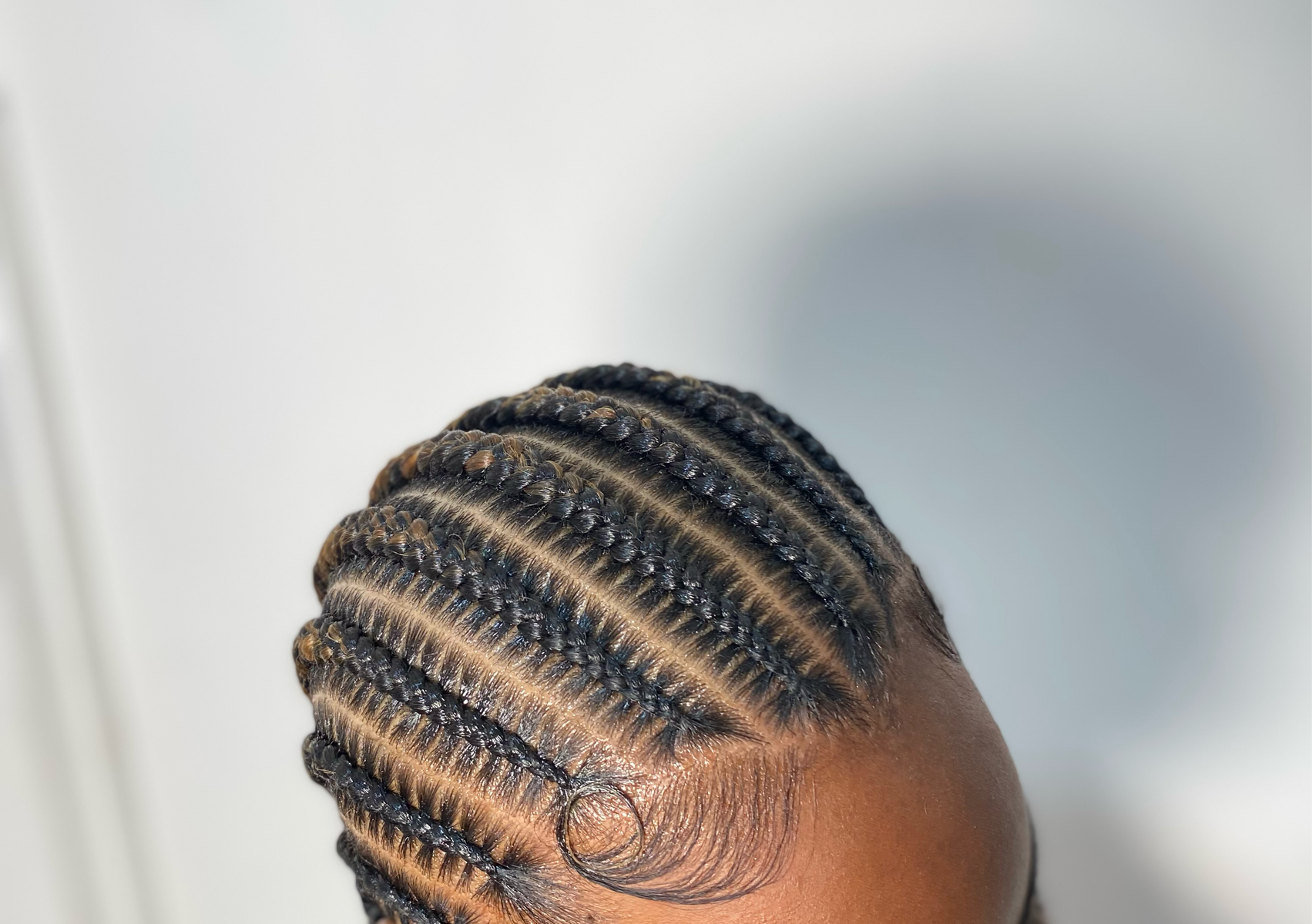 8-10 Stitch Braids Waist Length 