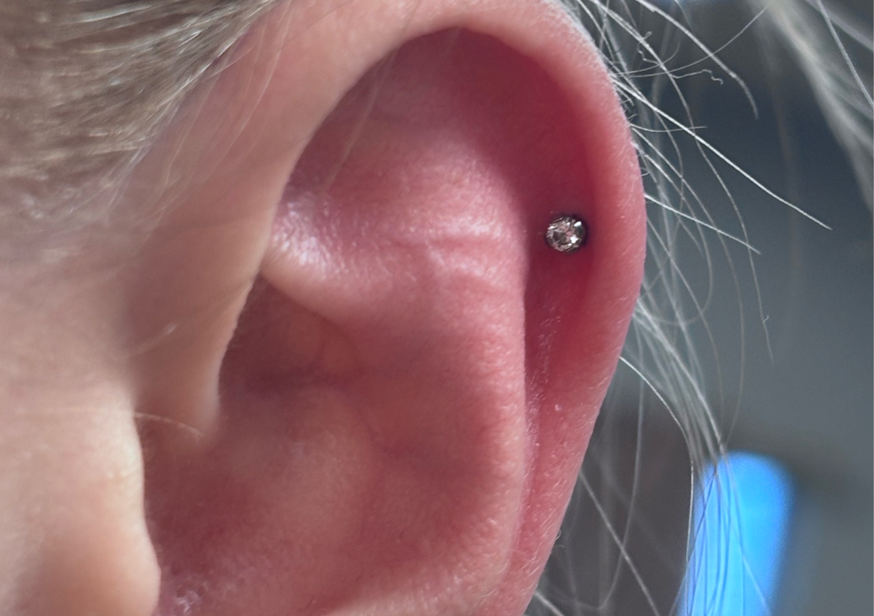 Cartilage single