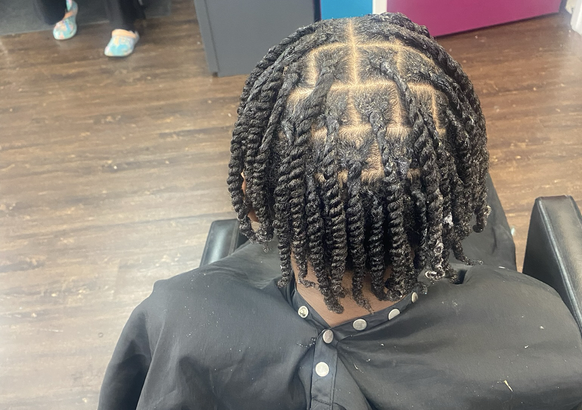 Mens Plaits/ 2 Strand Twist