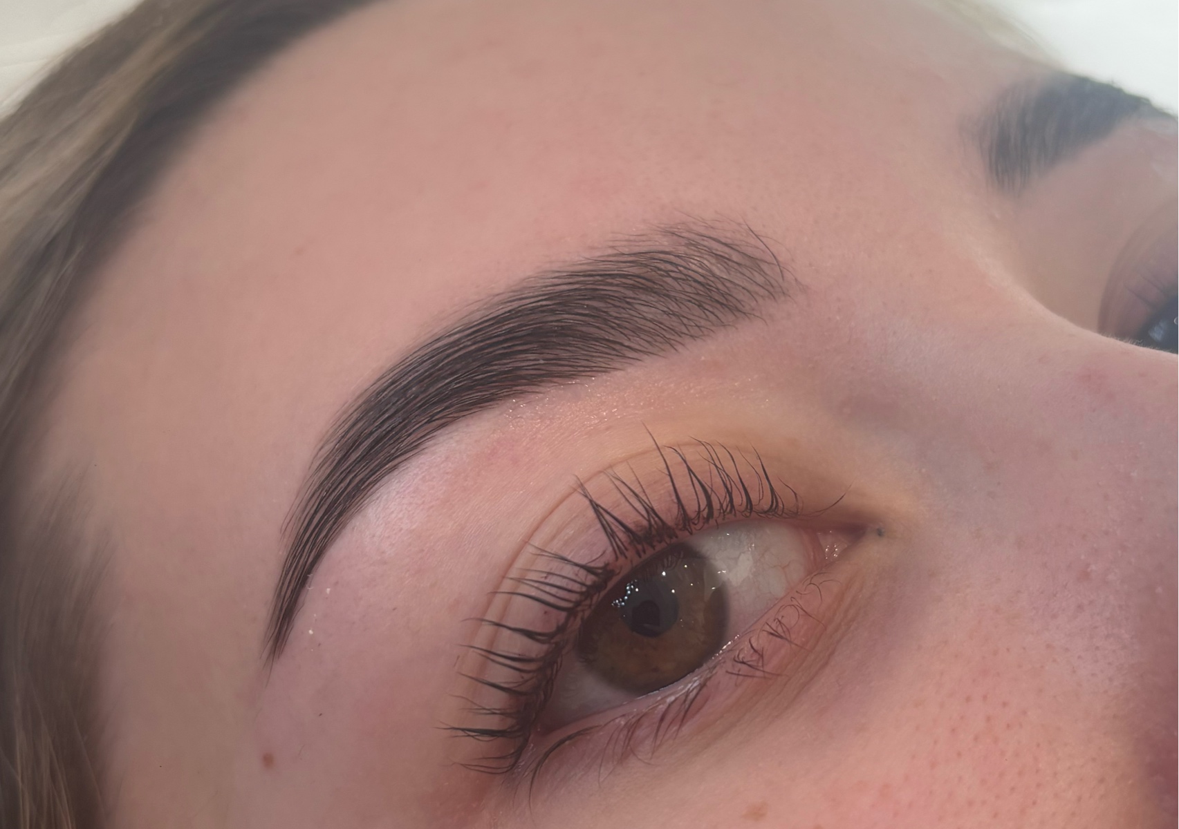 Brow lamination with wax & normal tint