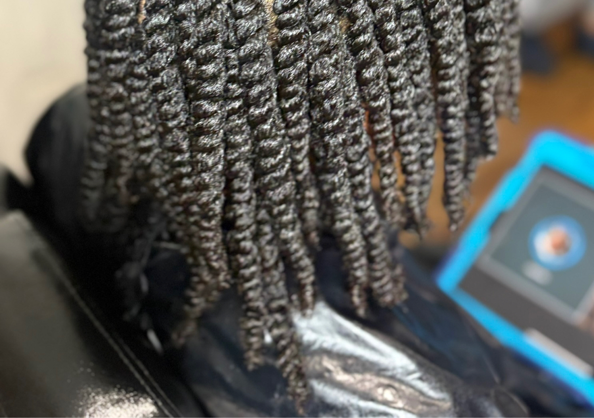 Two Strand Twist (Long)