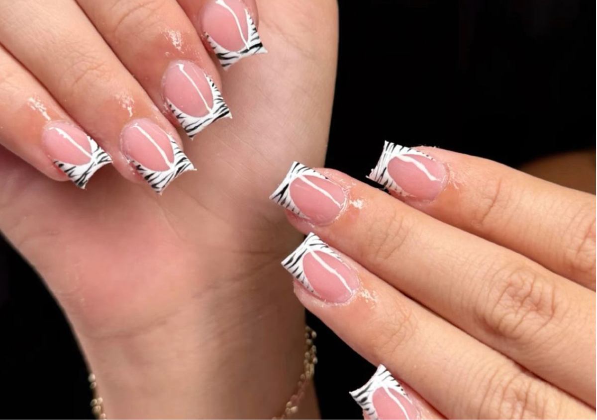Short acrylic Zibra 