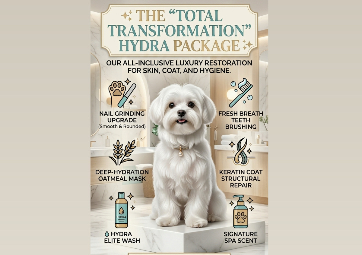 The VIP Skin & Coat Therapy Bundle