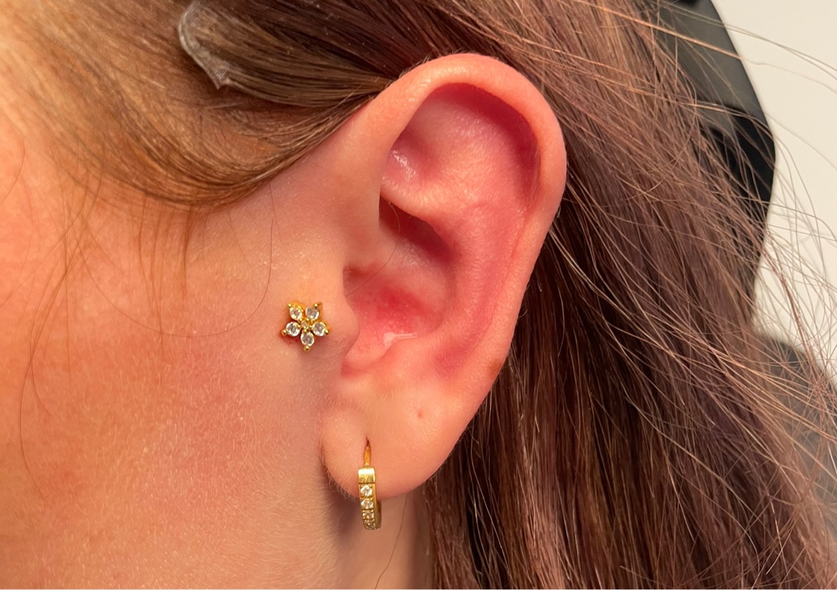 Tragus (Offer £30, Was £45)