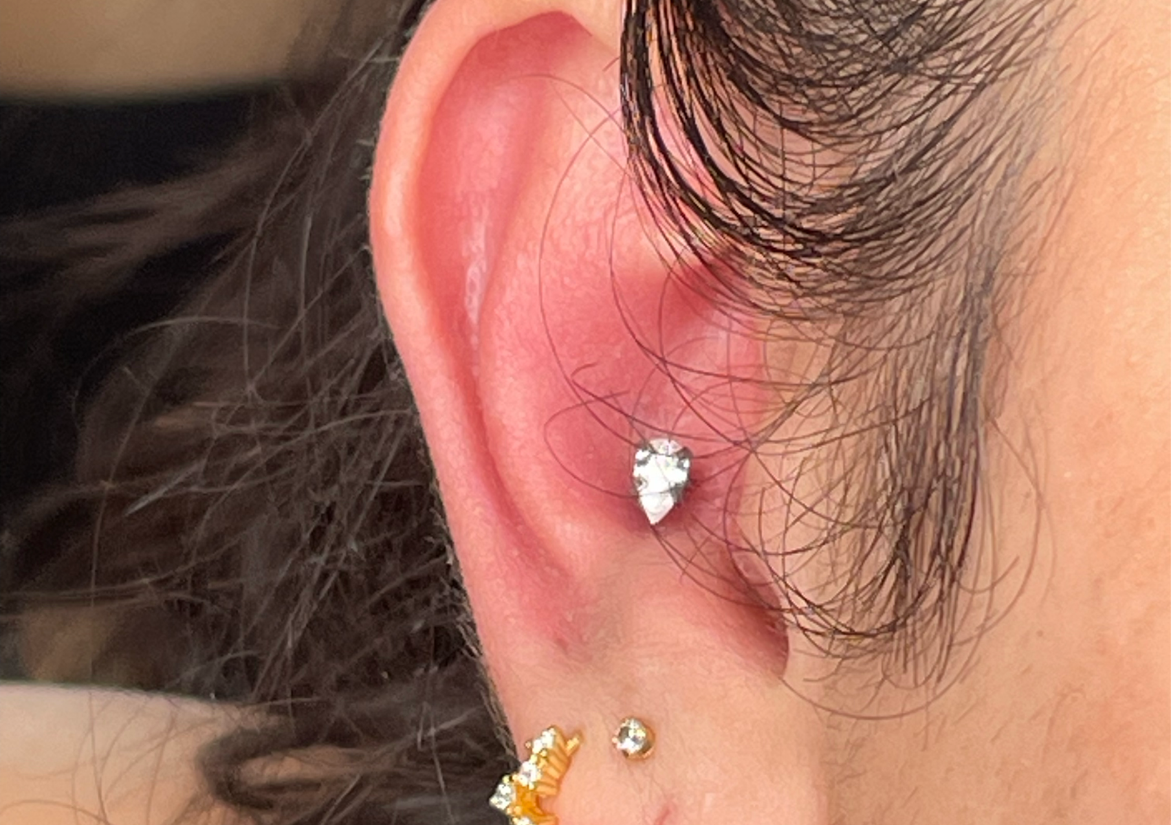 Conch (Offer £30, Was £55)