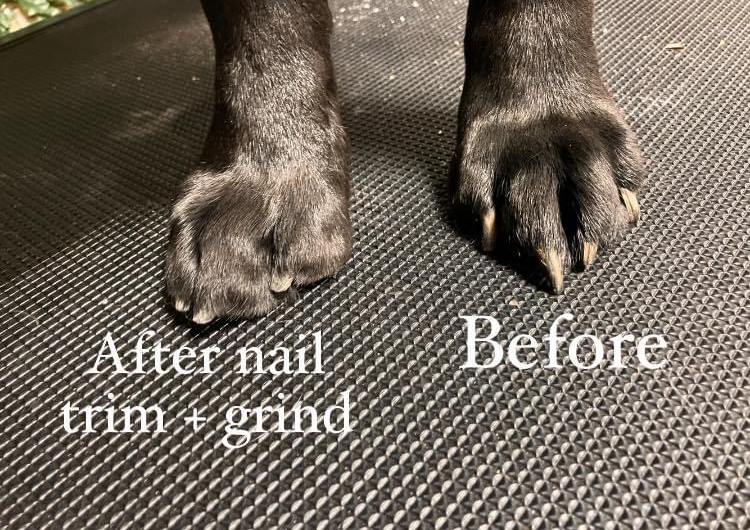 Add-on 1. Nail grinding