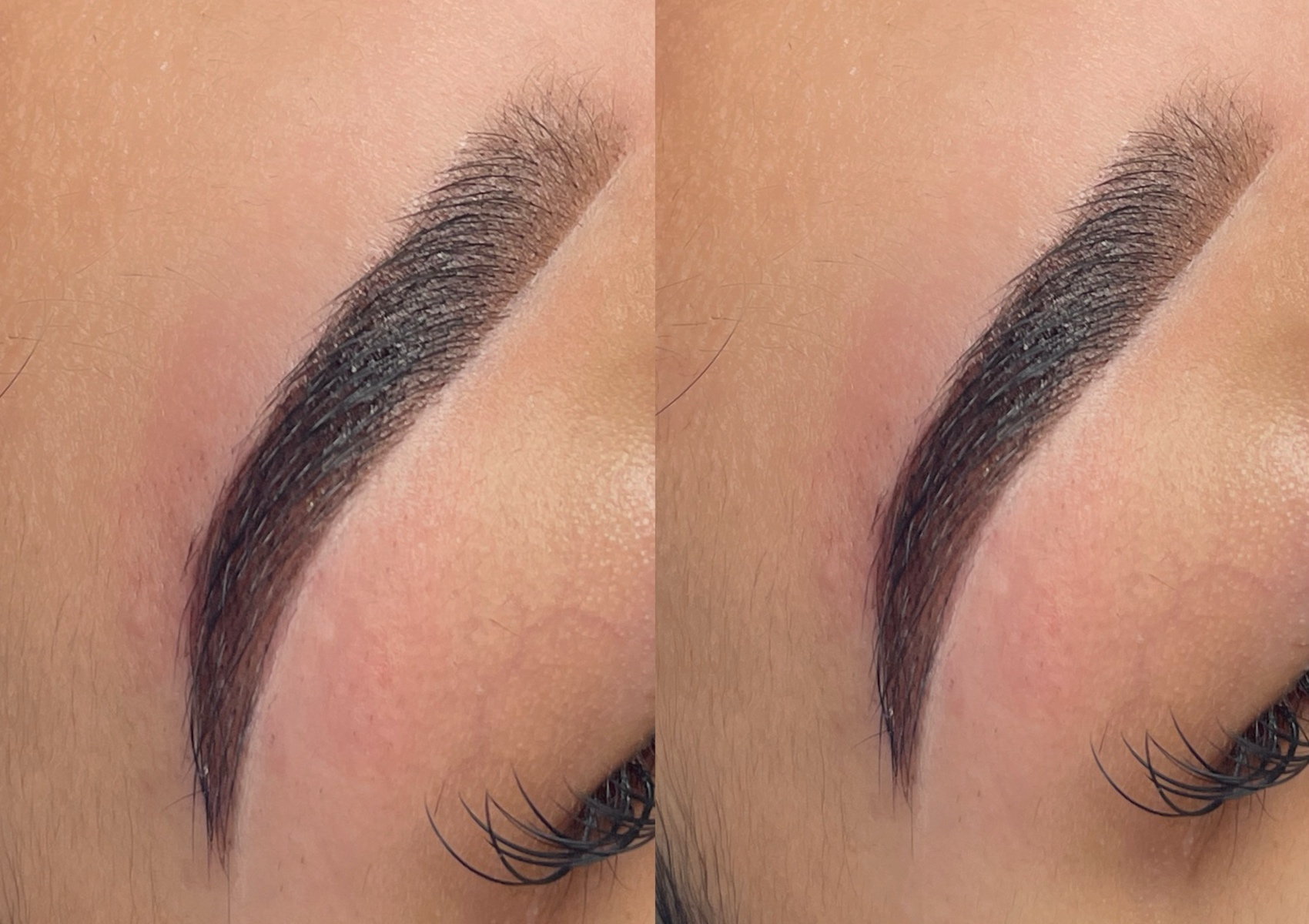 Brow Wax + Tint