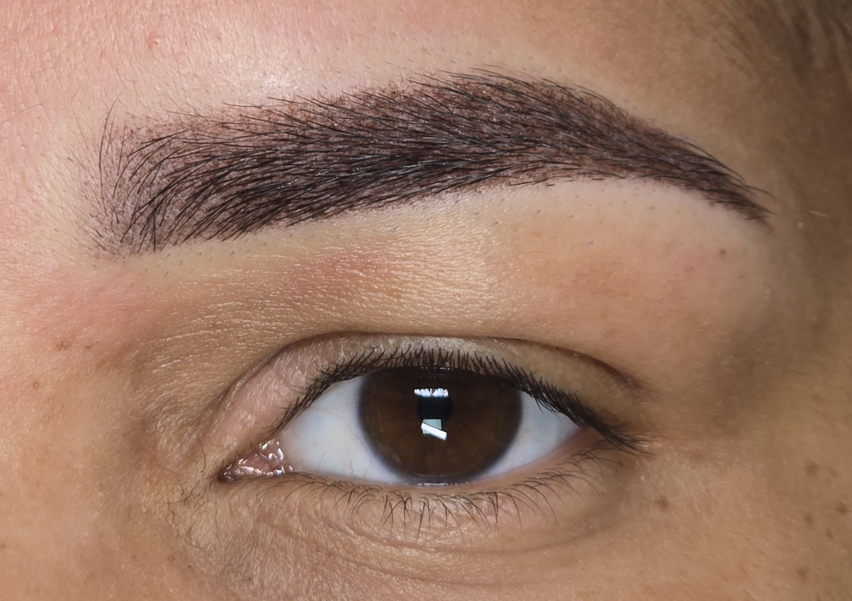 Retoque anual Powder Brows