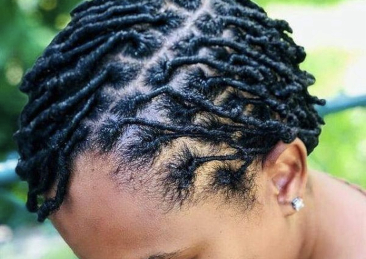 Adult Starter Locs