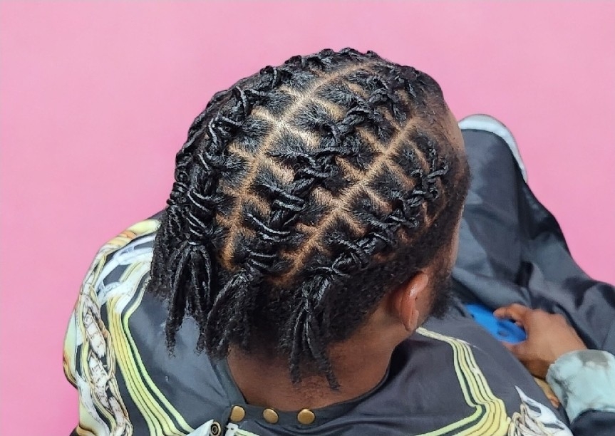 Dreadlocks Startup (Half Head)