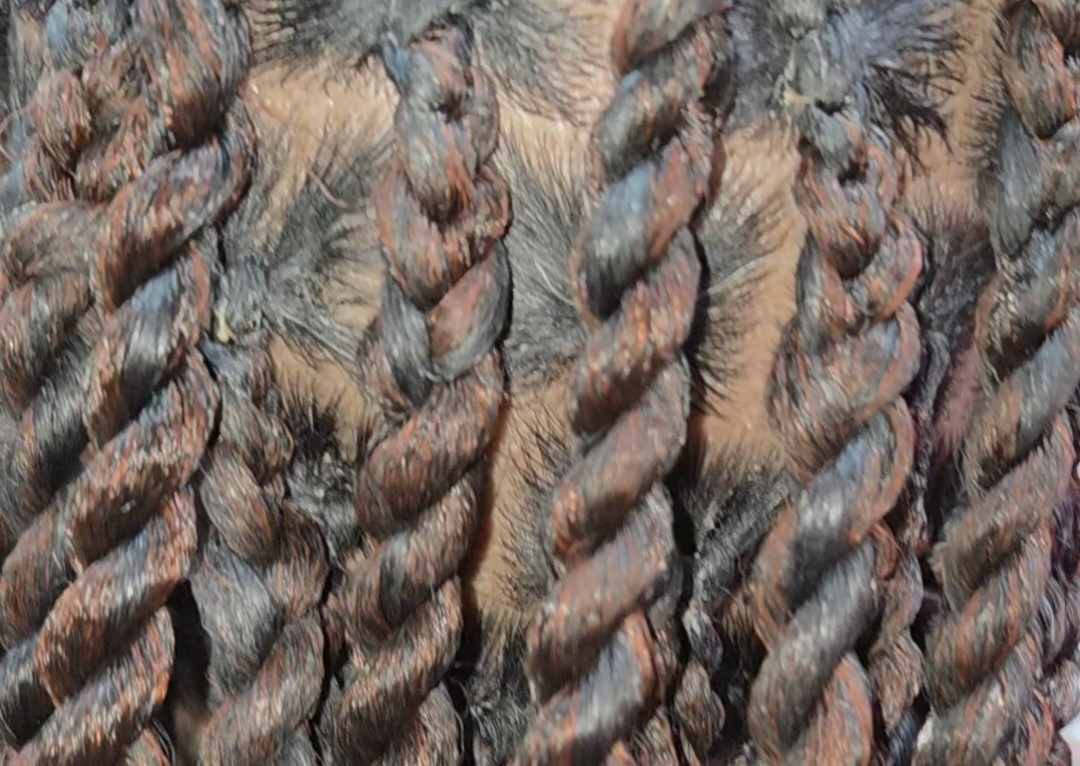 Medium Island Twists Waist Length 