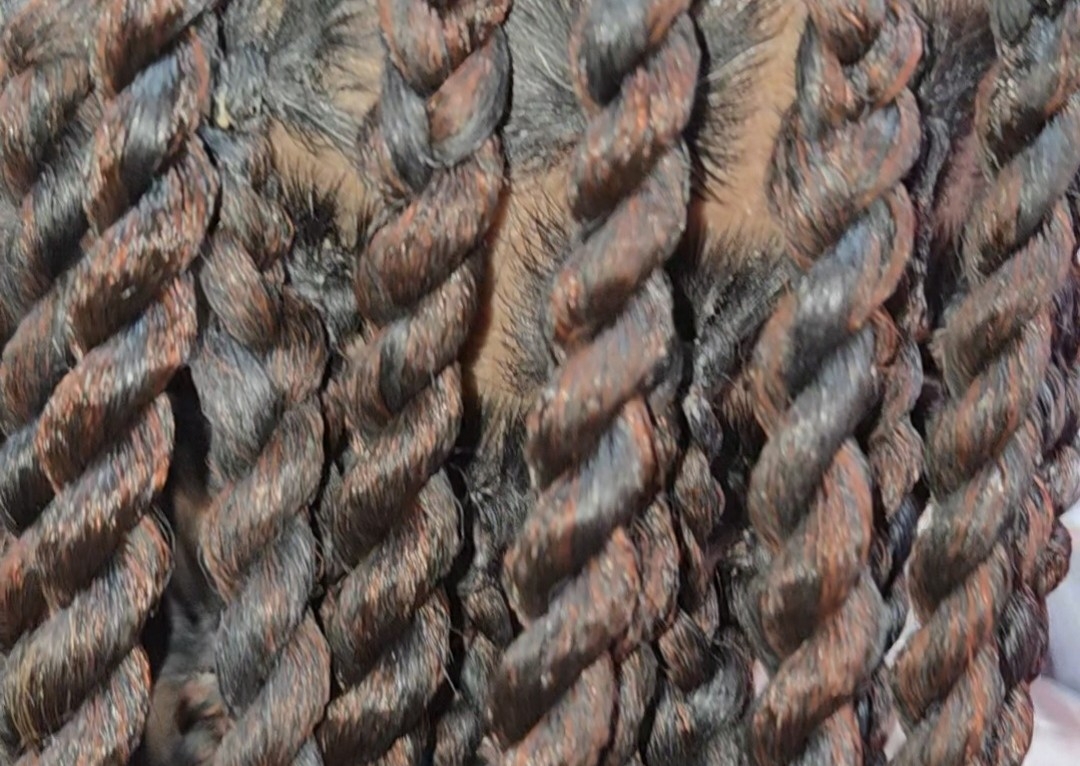 Medium Island Twists  Mid Back