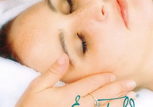 Eve Taylor Express Facial