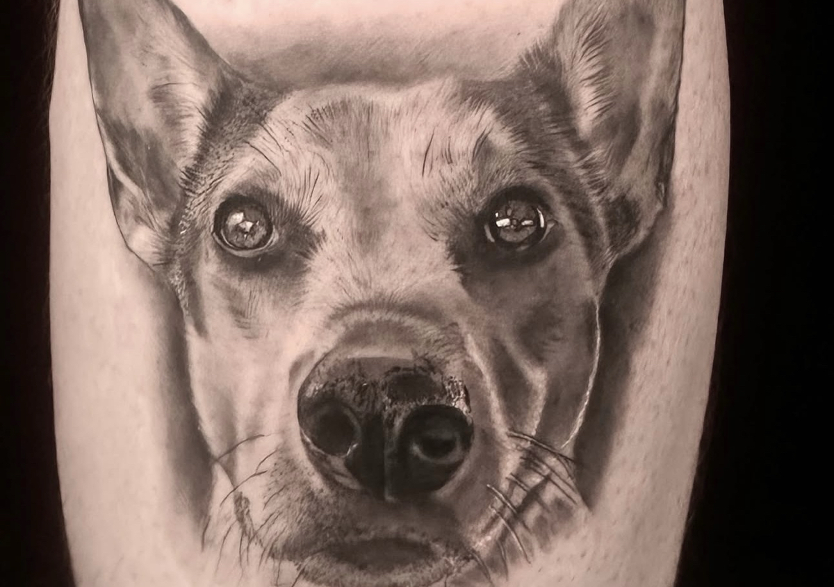 Pet portrait 🐾