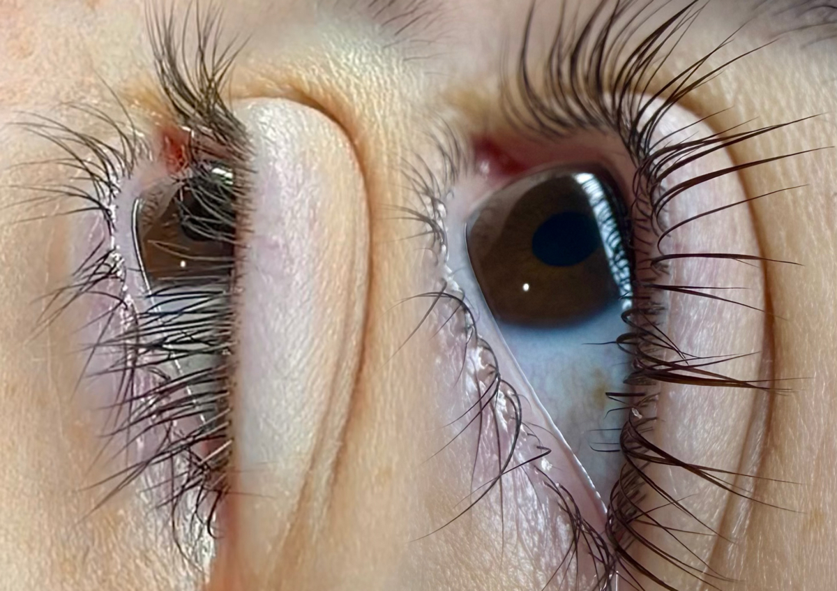 Korean Lash Lift | Tinted (2/3)