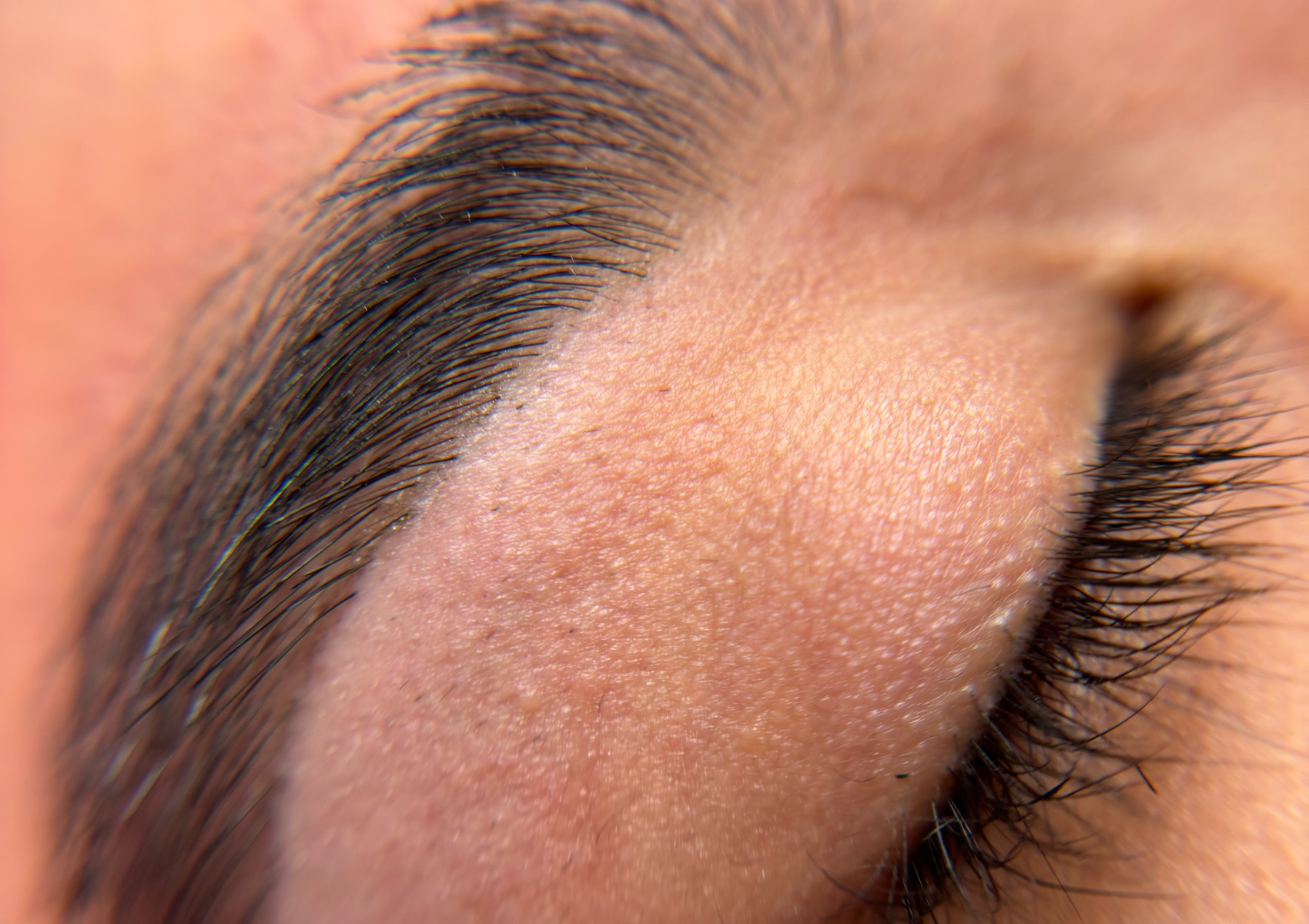 Eyebrown wax