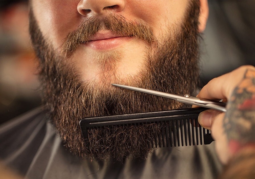 Only Beard trim
