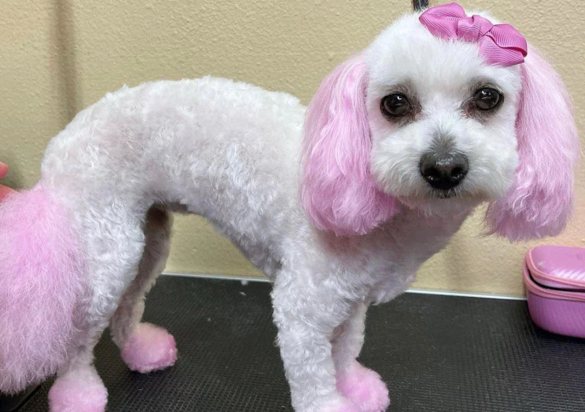 Ears, tail, and feet 