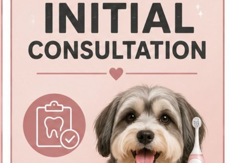 Emmi Pet Initial Consultation