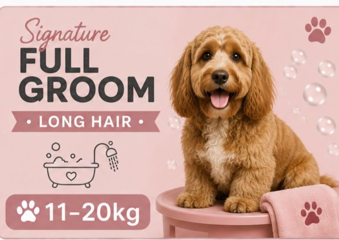 11 -20 kg