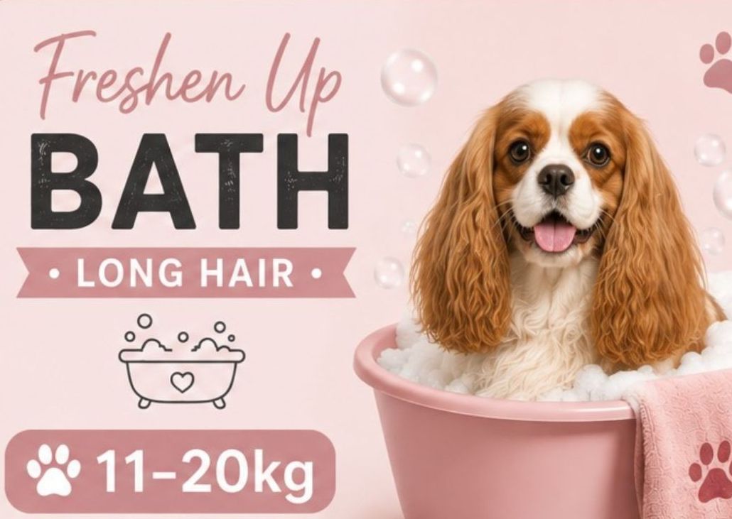 11-20 kg