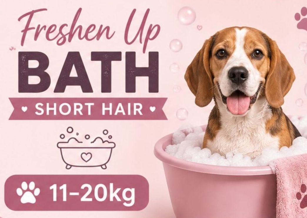 11-20kg