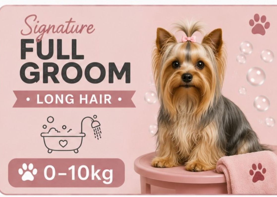 0 -10 kg