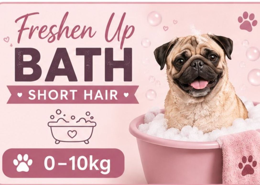 0-10kg