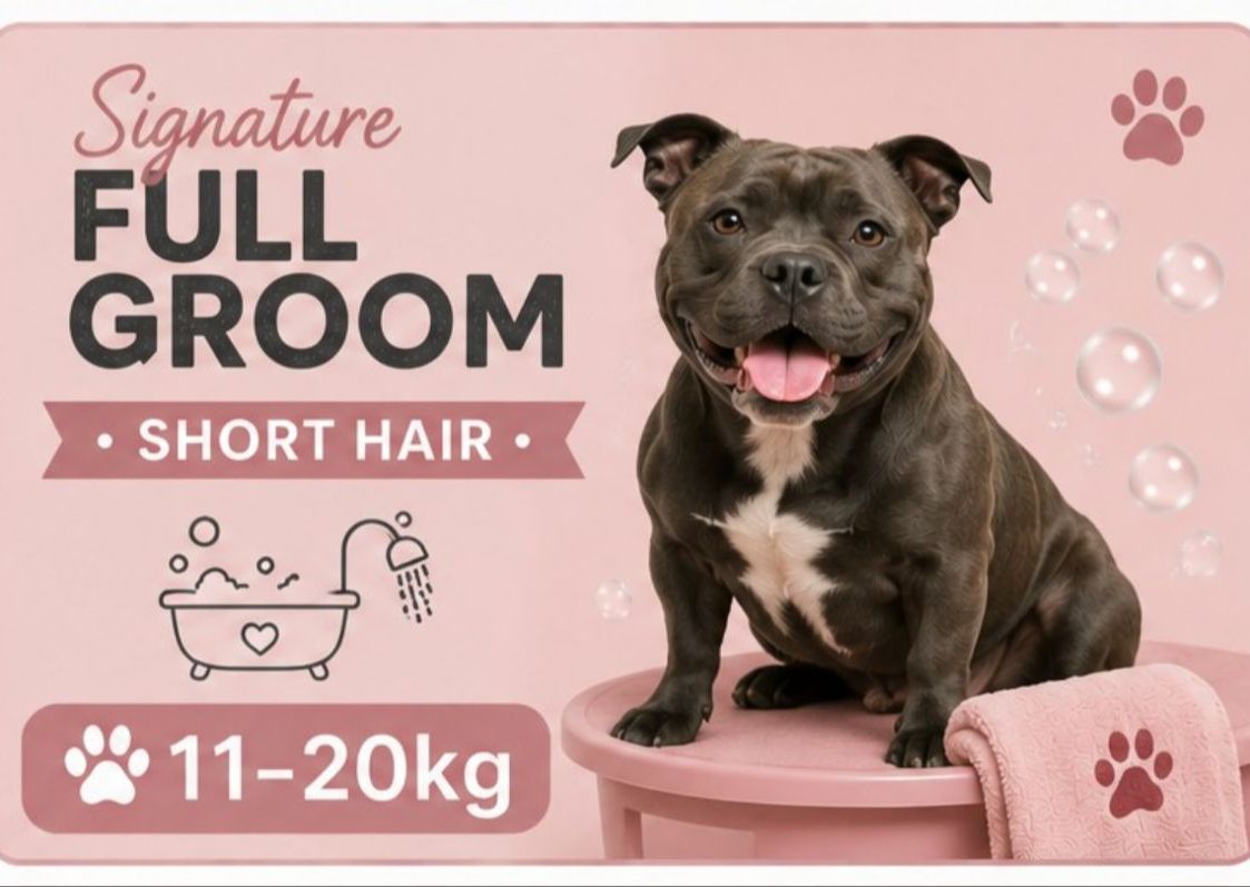 11 - 20 kg