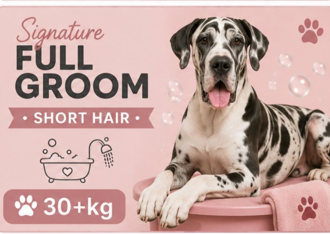 30 + kg