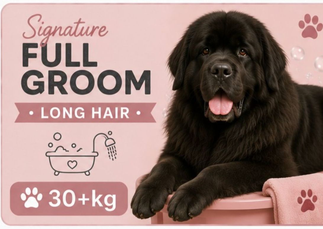 30kg+