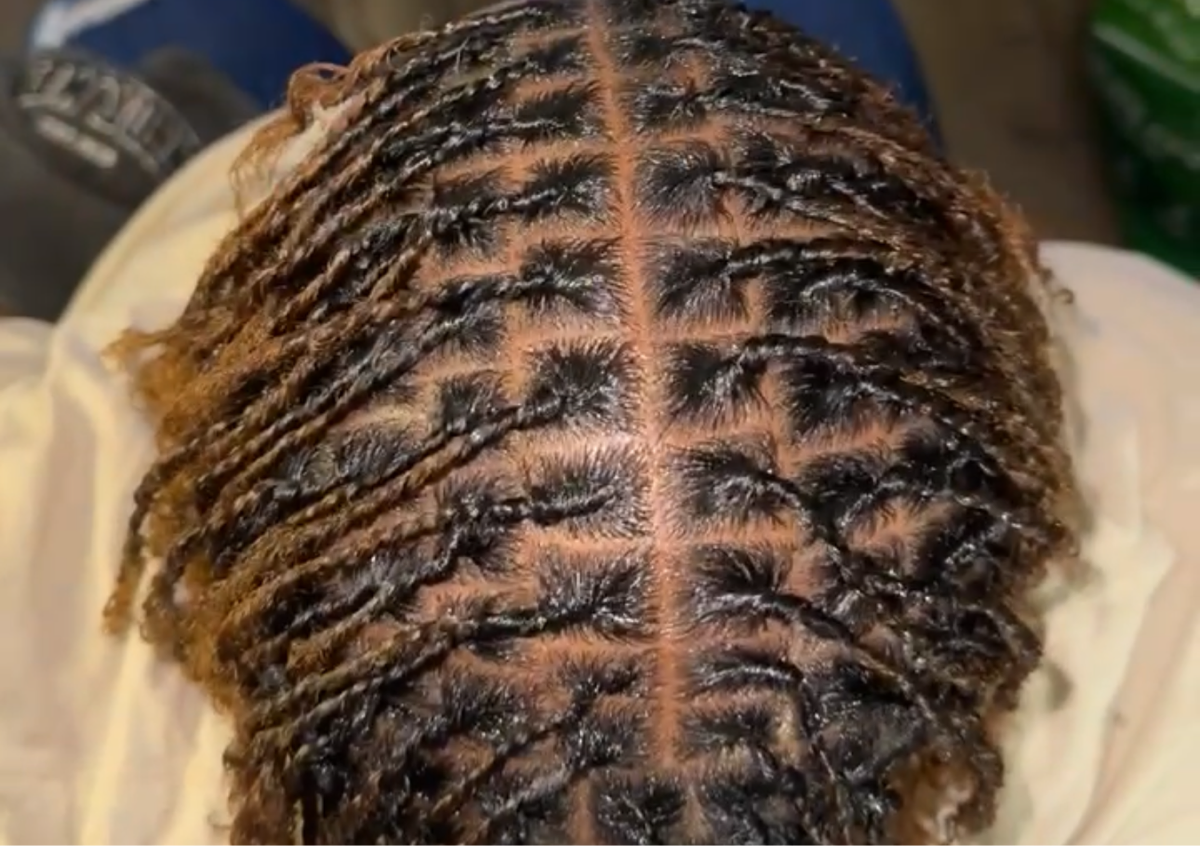 Full Service Small  Starter Locs 