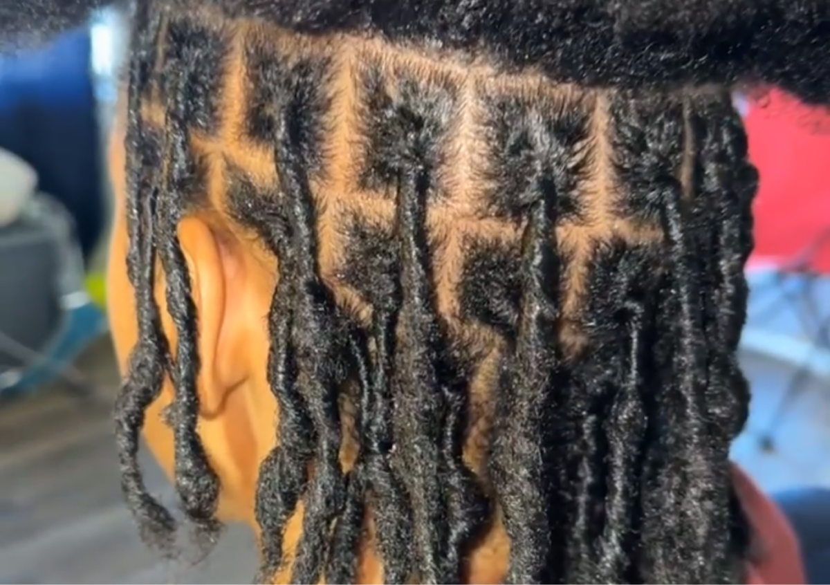 Medium/Large Starter Locs