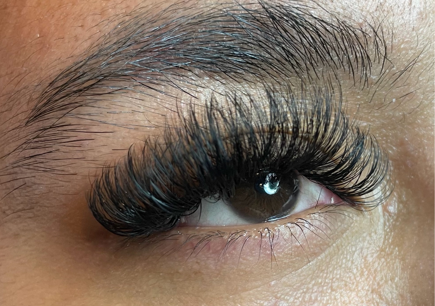 Mega Vol Fill Week 2-3