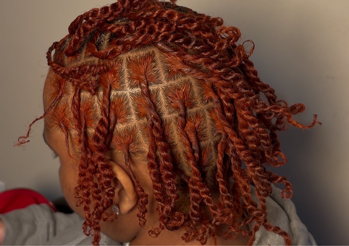 Medium Starter Locs