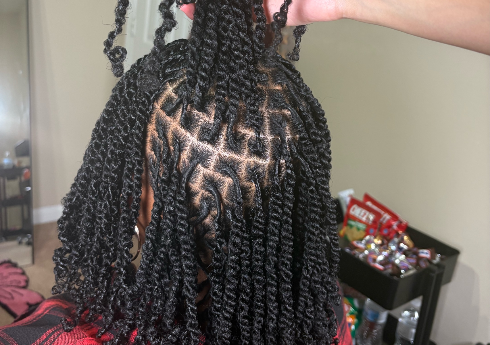 Small Starter Locs