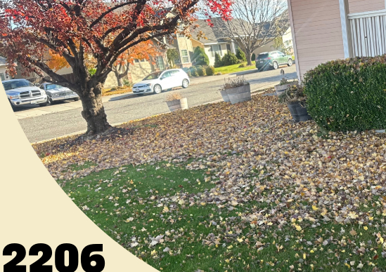 Seasonal Clean Ups