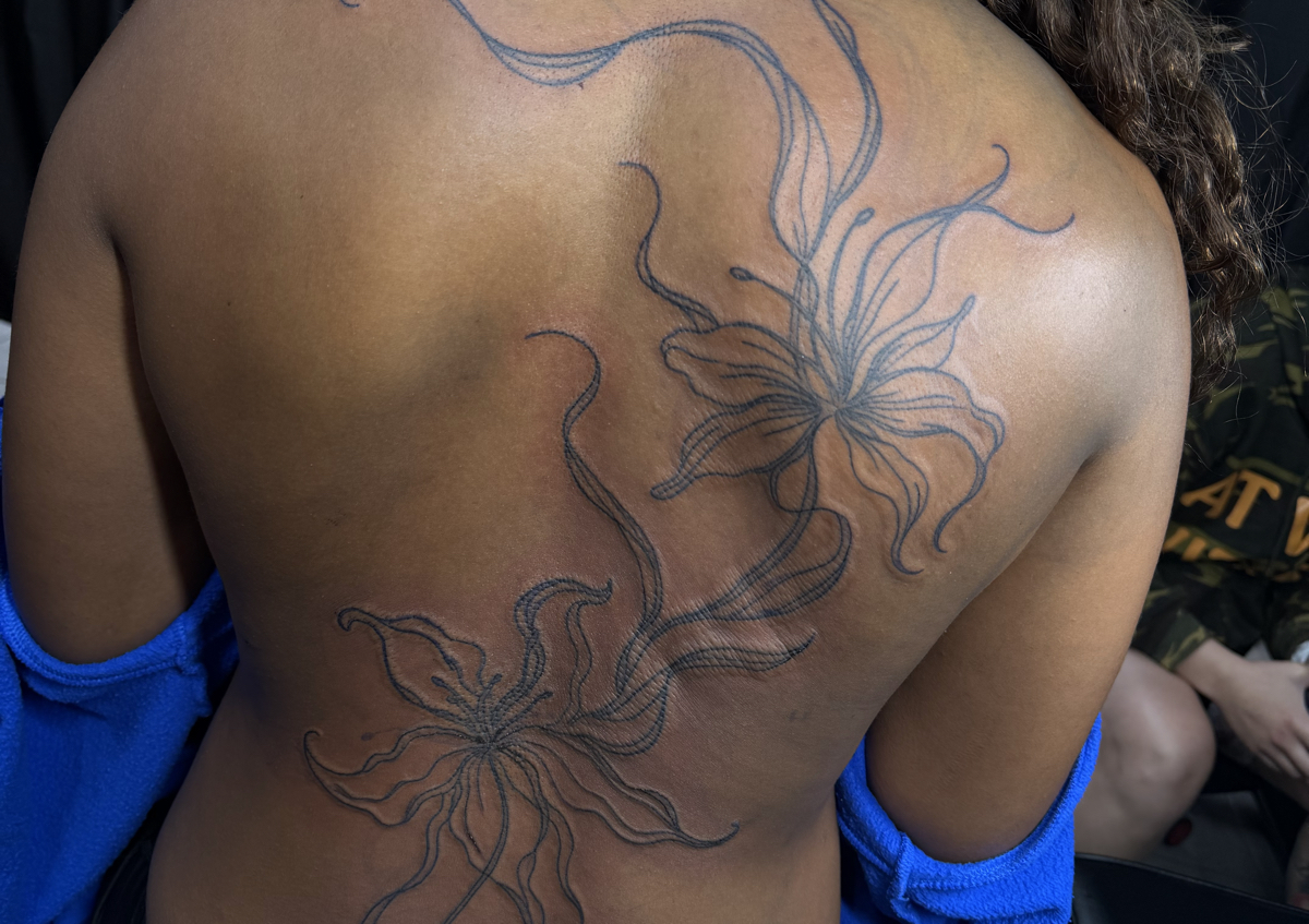 spine / back