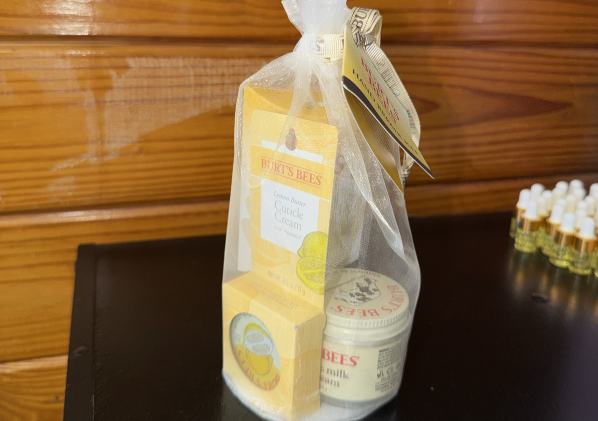 Burts Bees Nail Care Kit