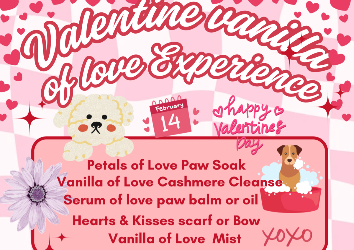 Valentine vanilla of love and experience