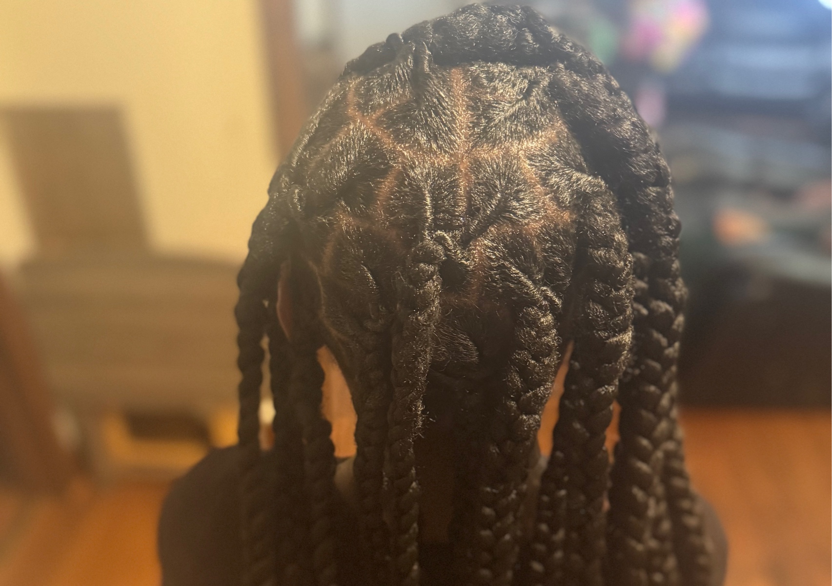 Jumbo Braids Over Locs