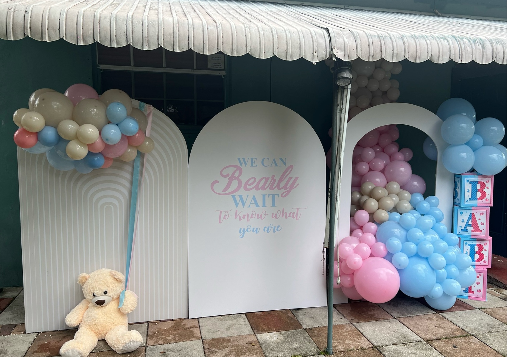 Gender Reveal Package