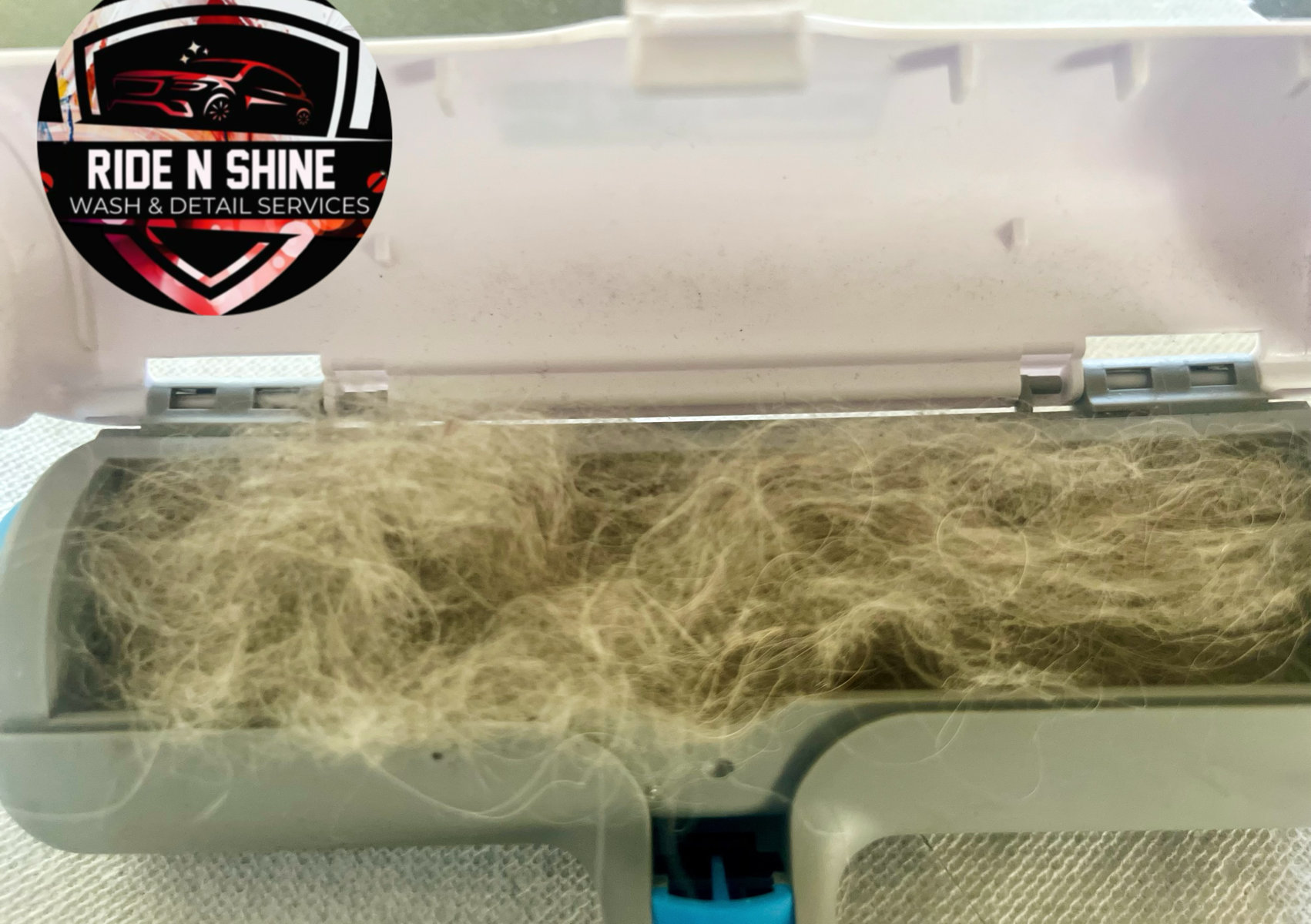 Home Rug  Pet Hair Removal 